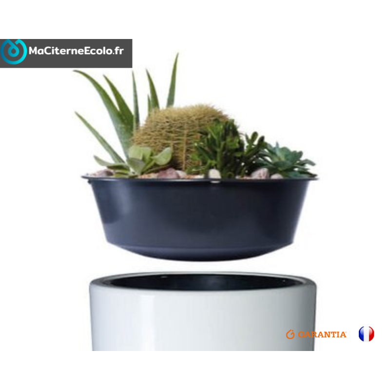 récupérateur d'eau de pluie avec possibilité de plantation fleur